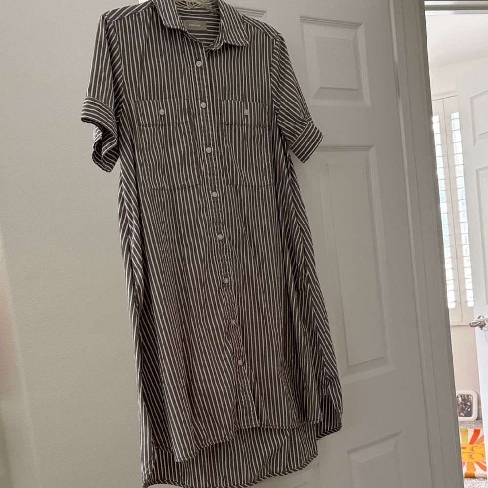 Everlane Oxford Shirt Dress